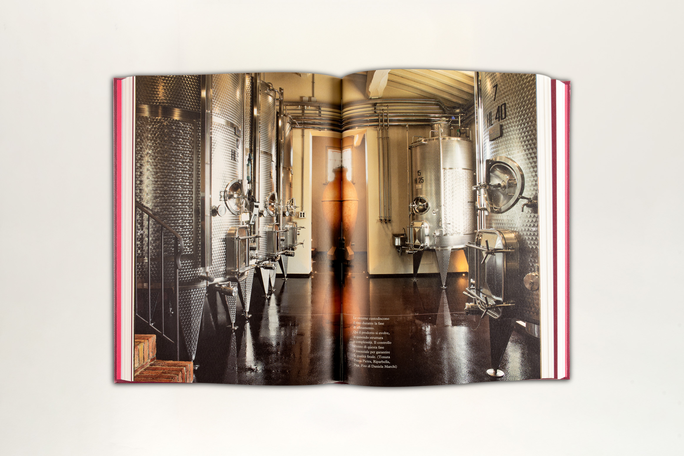 Sommelier - Inserto fotografico